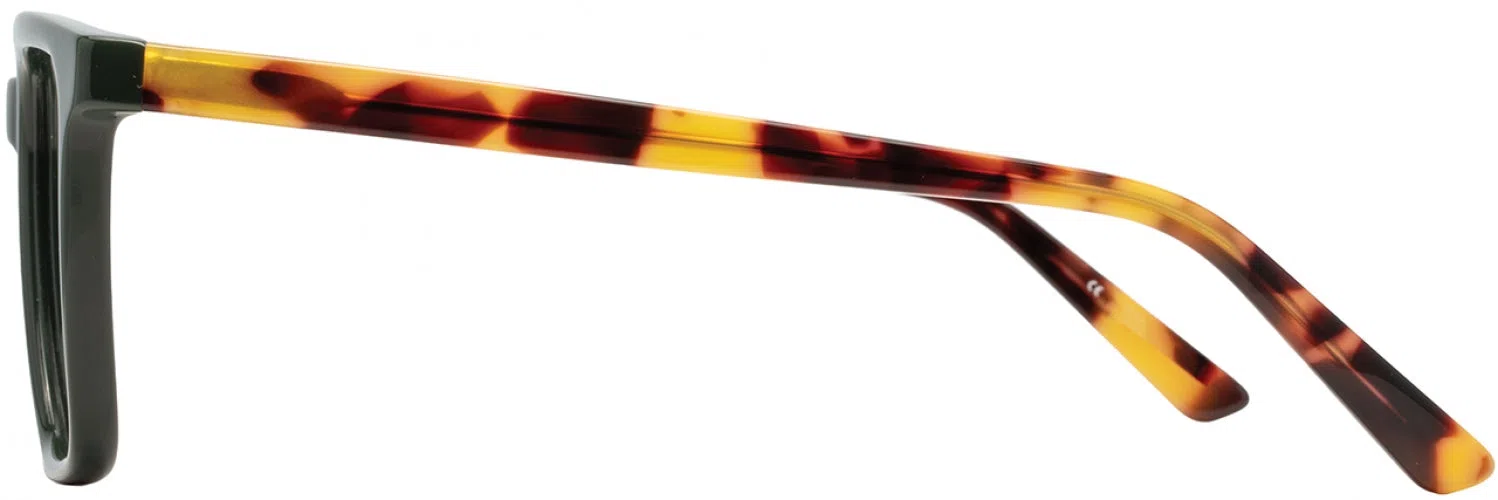 Adin Thomas ATS010 Eyeglasses - view 11